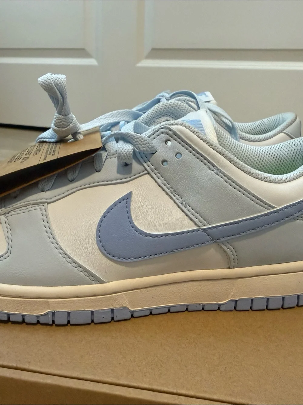 Nike Low-Top Sneakers in White and Light Blue
